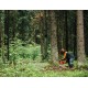 - Моторен трион ECHO CS-501SX